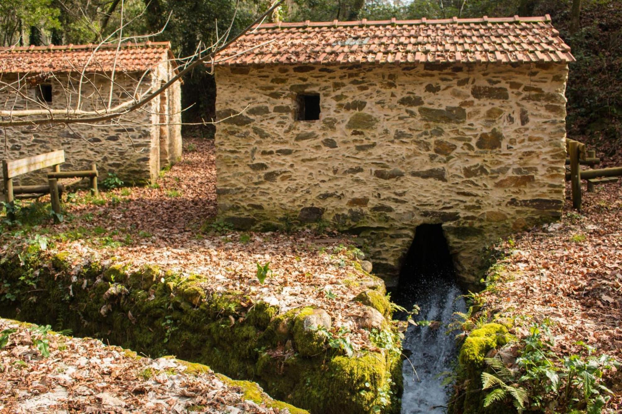 Quinta Das Aguias أفيرو المظهر الخارجي الصورة