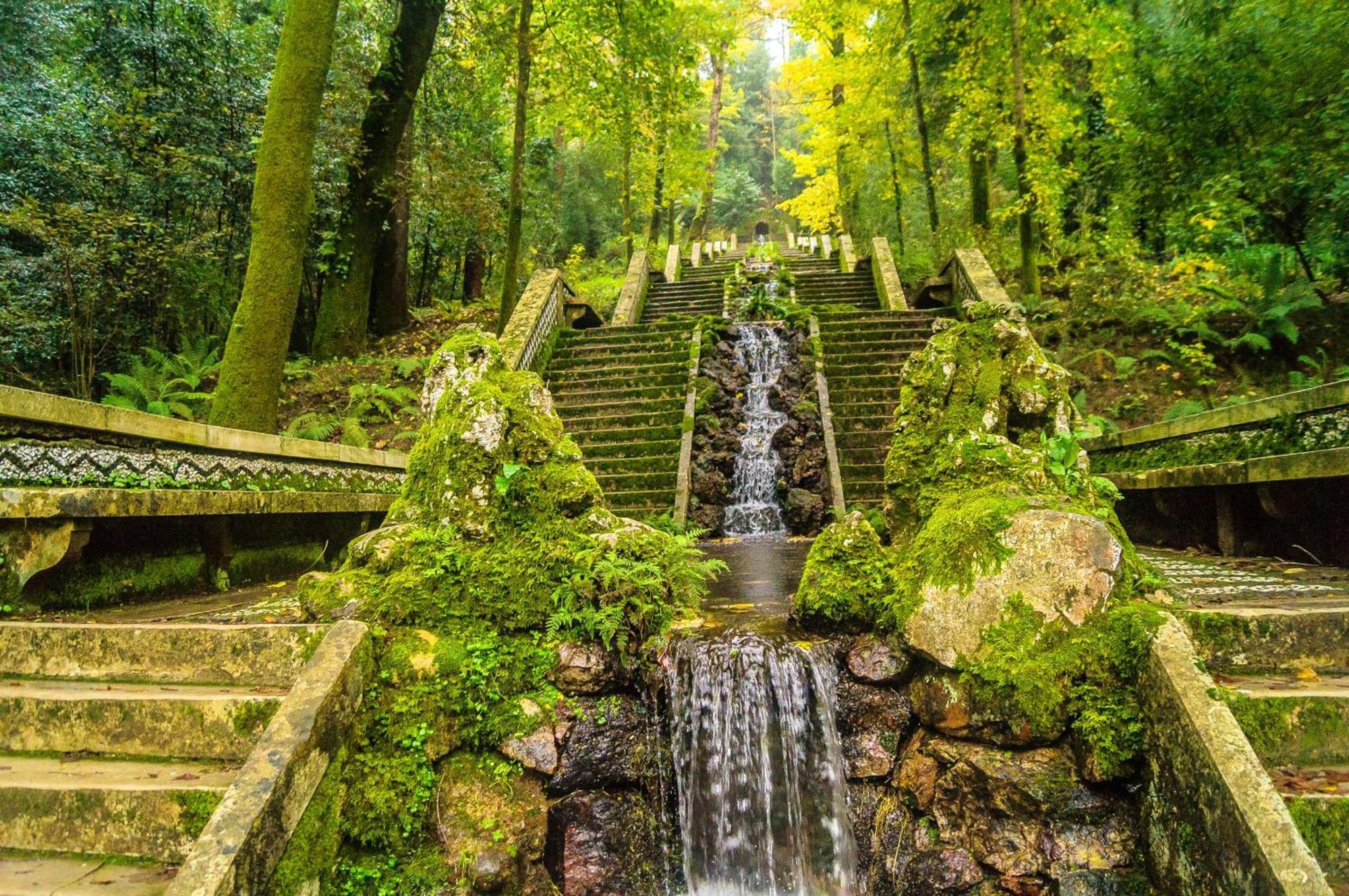 Quinta Das Aguias أفيرو المظهر الخارجي الصورة
