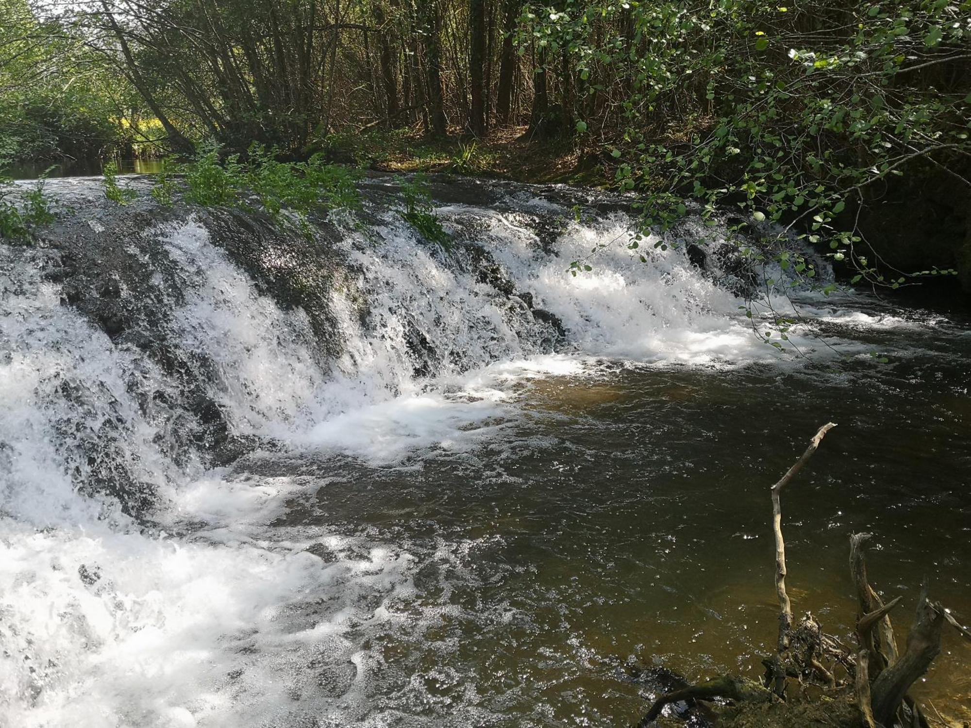 Quinta Das Aguias أفيرو المظهر الخارجي الصورة