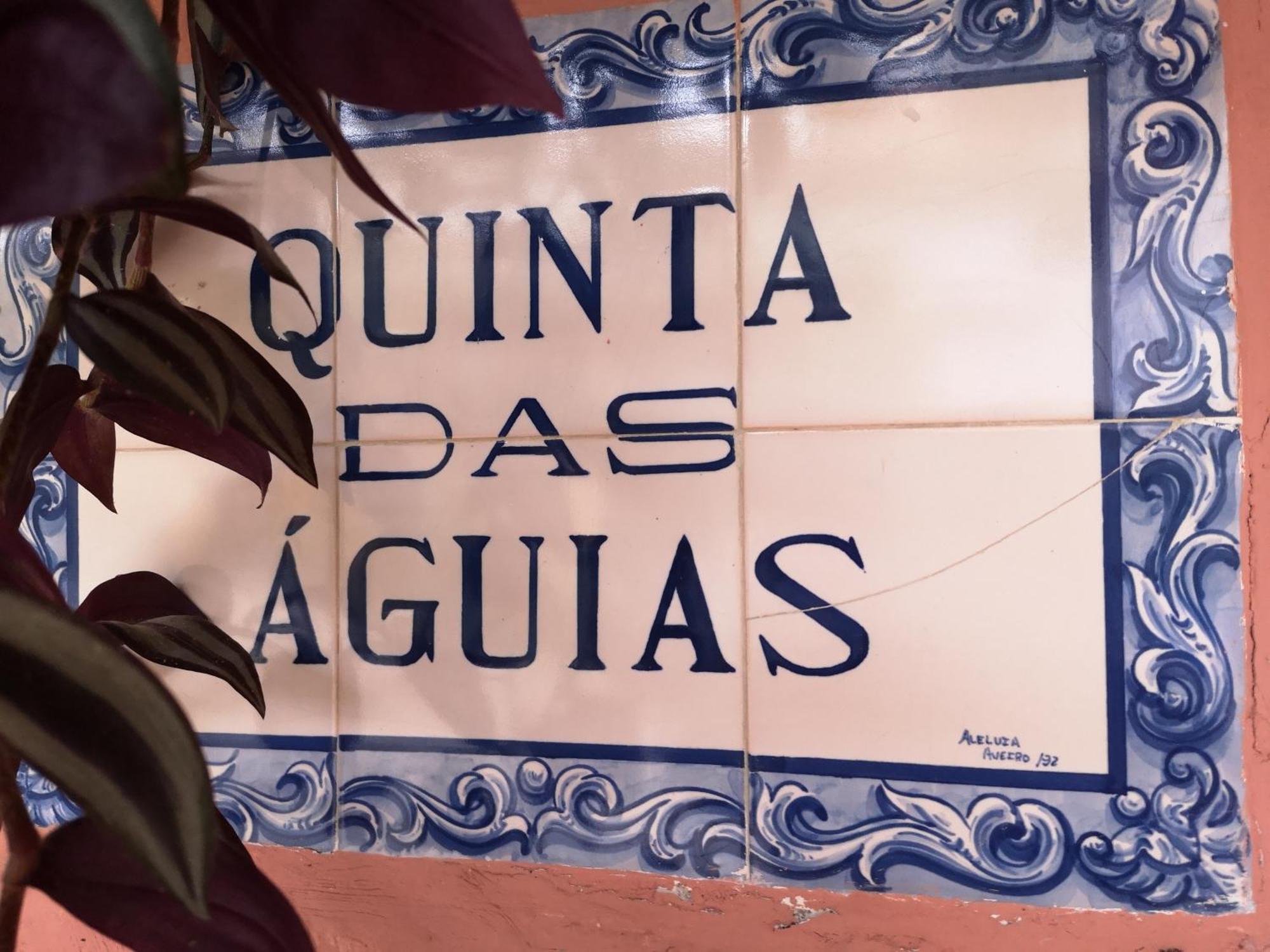 Quinta Das Aguias أفيرو المظهر الخارجي الصورة