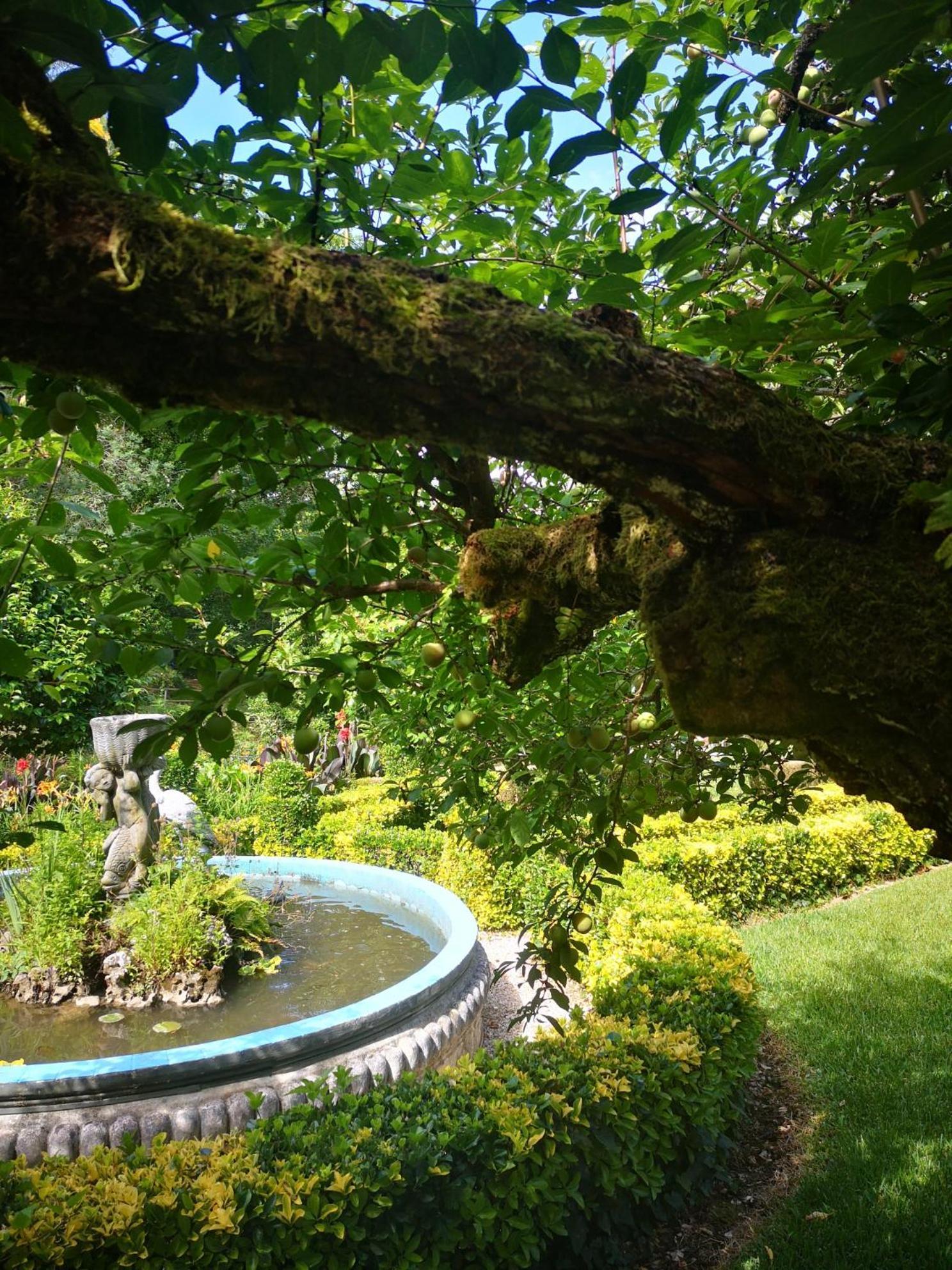 Quinta Das Aguias أفيرو المظهر الخارجي الصورة