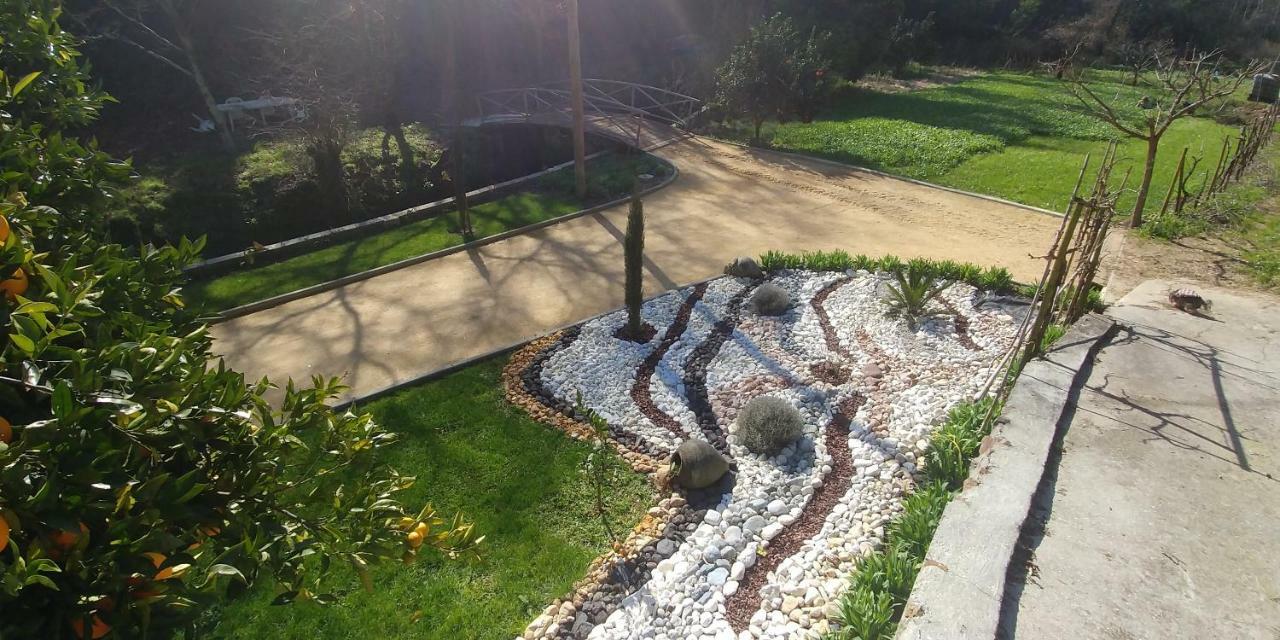 Quinta Das Aguias أفيرو المظهر الخارجي الصورة
